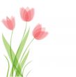 Decorative background with Tulips flowers