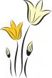 Decorative background with Tulips flowers