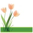Decorative background with Tulips flowers