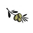 Hand drawn olive illustration