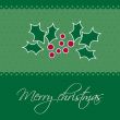Christmas background with holly berry leaves on dark green background
