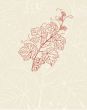Vintage vector illustration with grape branch