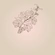 Vintage vector illustration with grape branch
