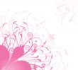 Vintage floral card with handdrawn flowers