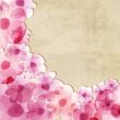Peony flower