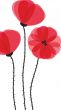 Spring card with beauty poppies.
