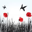 Spring card with beauty poppies.