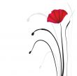 Spring card with beauty poppies.