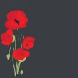 Spring card with beauty poppies.