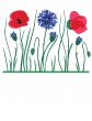 Spring card with beauty poppies.