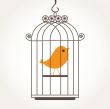 Cute bird in birdcage