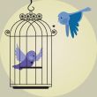 Cute bird in birdcage