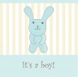 baby boy announcement card. vector illustration