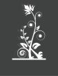 Vintage vector frame on floral background