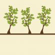 Three tree. Vector illustration.