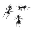 Ants. Vector.