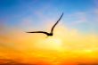 Nature Background
