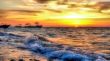Nature Background