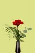 Red bouquet
