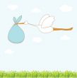 Baby arrival card with stork that brings a cute boy