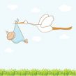 Baby arrival card with stork that brings a cute boy