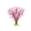 Blossom cherry - Greeting Card
