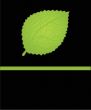 Green maple leaf illustration