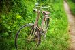Old bicycle near footpath.