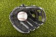 Baseball in glove