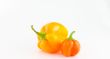 Bell Peppers