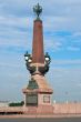 Rostral column.