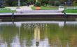 fountain in the Park