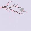 Blossom cherry - Greeting Card