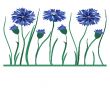 Beautiful blue cornflower isolated on white background