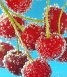 cherries and bubbles
