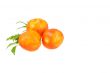 Fresh red tomato isolated with  on white background 