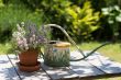 Watering can and flower