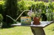 Watering can and flower