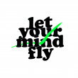 let your mind fly