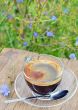 cup of chicory hot drink