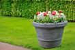 basket of spring flowers in garden