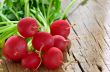 Small garden radish isolated shoot in studio