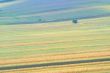 summer field stripes