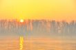 Sunrise on Danube river