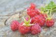 raspberry on wood background