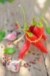 bunch of red chilies 