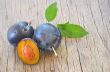 plums
