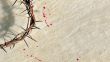 Crown of thorns with blood on grungy background