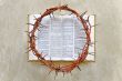 crown of thorns on the Bible