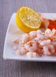 Shrimps